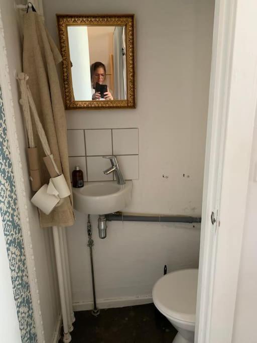 Central Bohemian Authentic Apartment Copenhagen